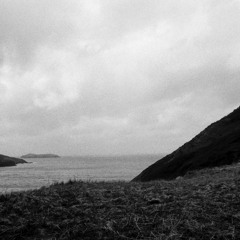 - Windfall - 10.31.2025