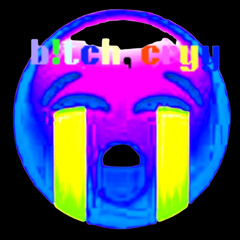 b!tch, cryy (prod. twoclose)