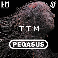 PEGASUS - TTM