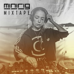 Frenetic - Minirig Mixtape