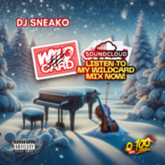 DJ SNEAKO 0-100 WILDCARD MIX