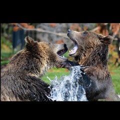 "Play, Ferocity, Connection" (One Hour Therapeutic Dance Mix 3 April 27 2024)