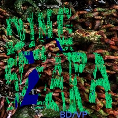 _DINGSZARA prod. violettaposh