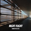 Descargar video: Night Flight