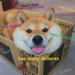 Doge Coin