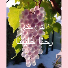 رحتا خليتنا خاينة يا دنيا ظالمة يا دنيا