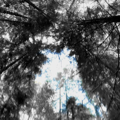 ##недопитая кружка*prod. Beshell*