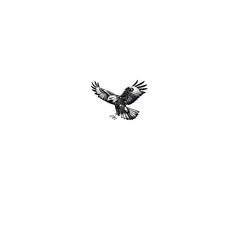 Hawk - Kieferro