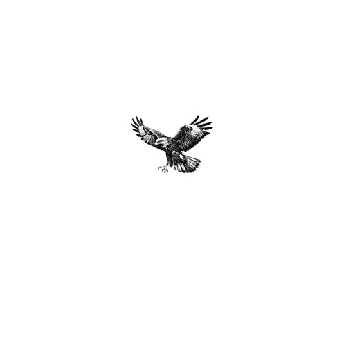 Hawk - Kieferro