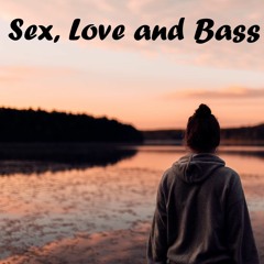 Sex, Love and Bass Volume 2.
