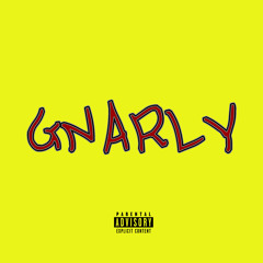 GNARLY (Xoolice)