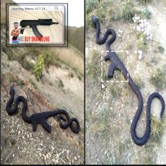 perte2memoire + 213Brick