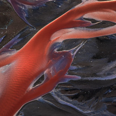 Wine & Ice - Live DJ Set @ Burning Man 8/28/25