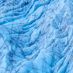 POLAR BEARS [PROD. MIZ / QWENTCRAZY / QWAL!TY]