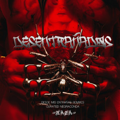 Desde mis entrañas (Bruja Prieta feat. Yakuzzi Remixxx) - Negraconda