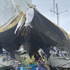 SUBURBAN TART ANTICS 2025 MIX