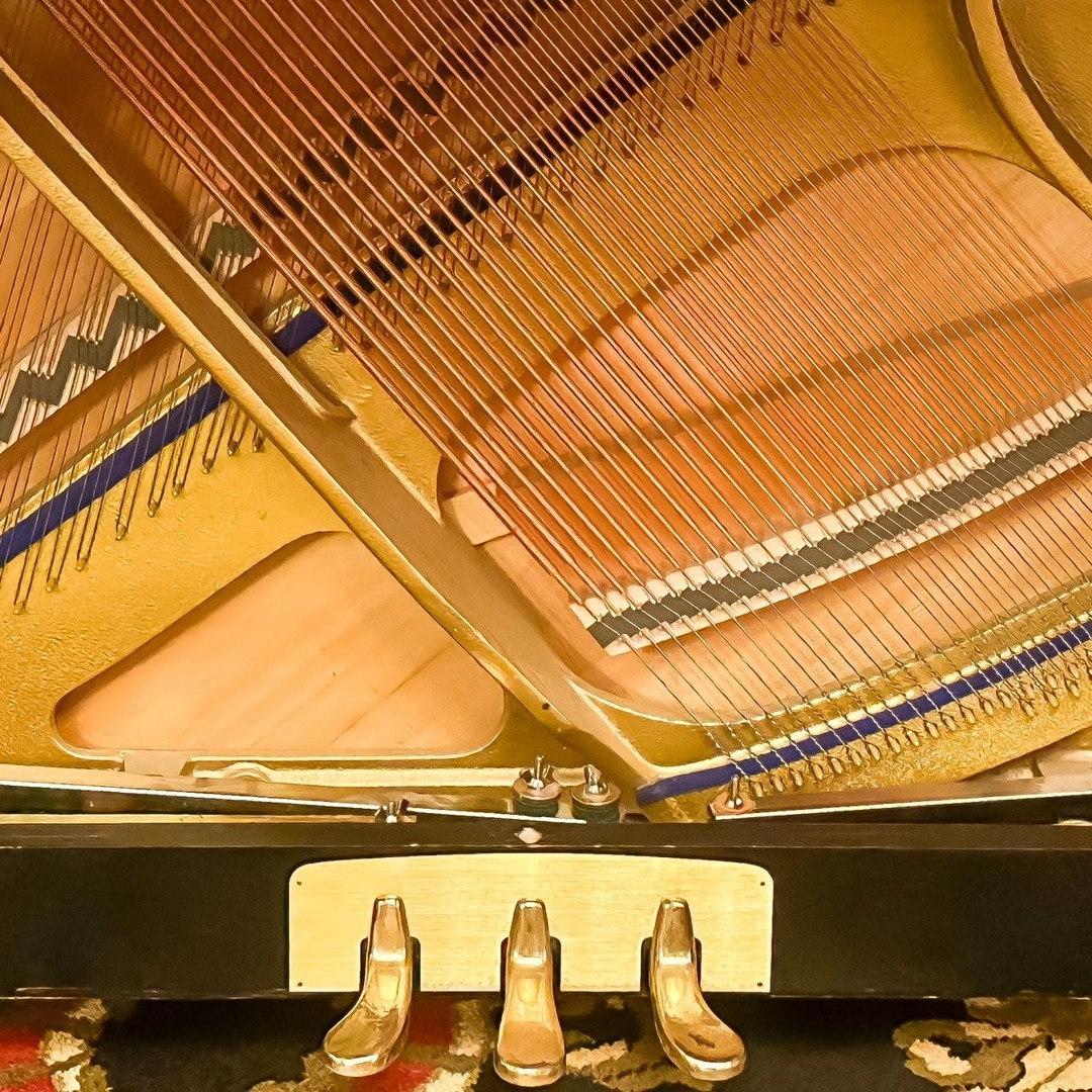 Piano Fusion: Blending Genres, Crafting Harmonies