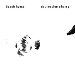 beach house - Wildflower  (REMIX)