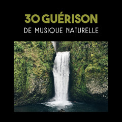 Paisible chant oiseaux