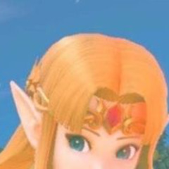 drunk zelda [[goki]a 9zuo bootleg of some sorts]