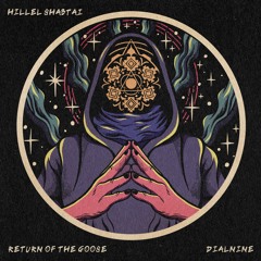 Hillel Shabtai - Return Of The Goose [DIALNINE]
