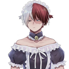 todoroki ver.- left and right