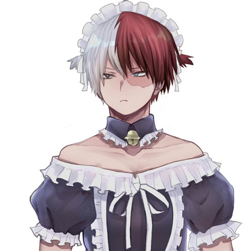 todoroki ver.- left and right