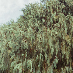 my sweet wesley (day two)