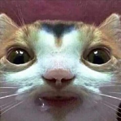 Disciple stems mashup