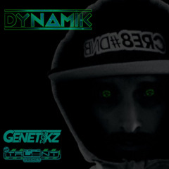 Dynamik Promo Flex