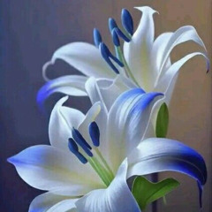 Flor de Liz