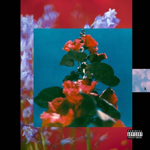 my life, my tragedy.