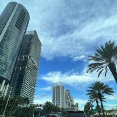 FEINZ x (@blueBlayze)