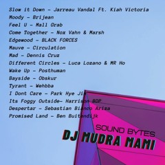 Sound Bytes DJ MIX MUDRAMAMI