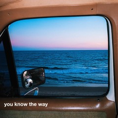 Freedom Fry - You Know The Way