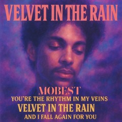 Velvet in the Rain