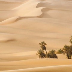 رائية أبي صخر الهذلي_بصوت د. عادل بن حزمان.m4a