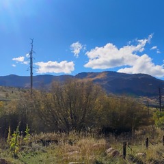 Rocky Mountain Blues