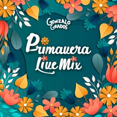 PRIMAVERA LIVE MIX