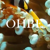 OHBE - Youps 𝑟𝑒𝑠𝑖𝑑𝑒𝑛𝑐𝑦 · 15.02.25 DJ mix artwork - Electronic music tracklist cover image