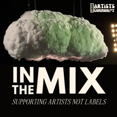 IN THE MIX