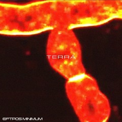 Terra