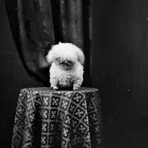 deepfuckingbreath ft. areyetee