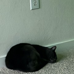 hood still (badmessy)