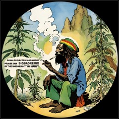 Donalds Electric Moonlight - Praise Jah In The Moonlight (BigBadRemix)