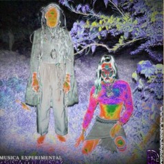 Talking about Via De Acceso & Surrey Muse