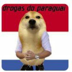 Dashdoom - drogas do paraguai feat (loute.66)
