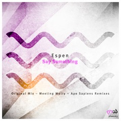 Espen - Say Something (Meeting Molly Remix)