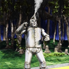 Tin Man