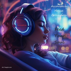 Accoustech House #6 (Feed Your Soul)